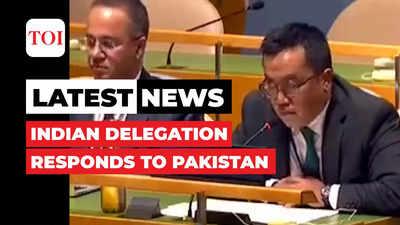 'Regrettable': India slams Pakistan for making 'false accusations' against New Delhi at UN