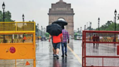 Delhi: Grilles to rein in pedestrians on Kartavya Path