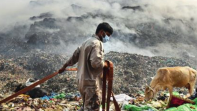 How discarded hygiene items pose environmental hazard