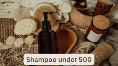 Shampoo under 500: Give your hair proper shine and nourishment (April, 2024)