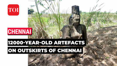 Chennai: ASI finds 12000-year-old artefacts indicating four civilizations