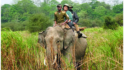 Assam: Kaziranga likely to welcome back visitors from mid-October