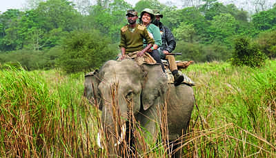 Assam: Kaziranga likely to welcome back visitors from mid-October