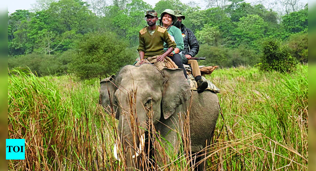 Kaziranga likely to welcome back visitors from mid-Oct