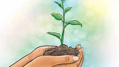 Mangaluru Smart City Limited not keen on saving 34 trees, alleges forum