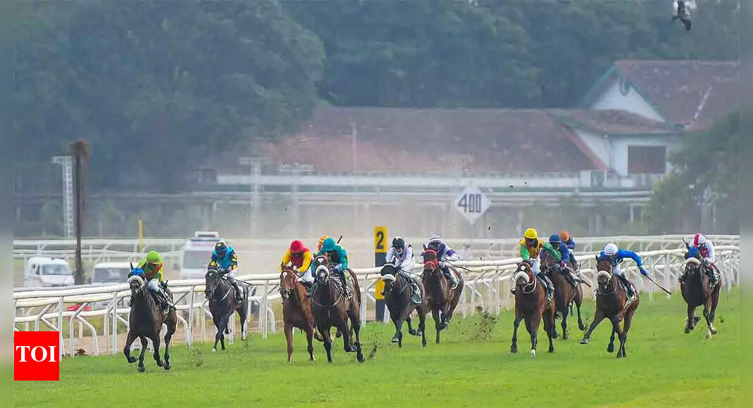 Zuccarelli for Indian St. Leger More sports News Times of India