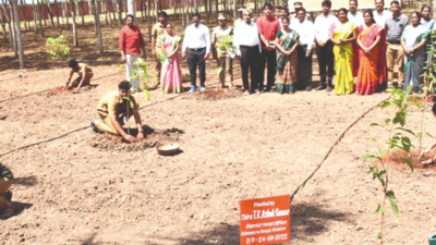 Coimbatore: One million saplings to shore up green cover