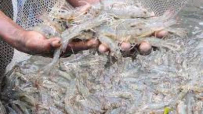 5 countries ready to develop pisciculture in Madhya Pradesh