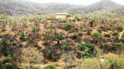 Jaipur: NGT orders probe into issuance of patta under Nahargarh SEZ