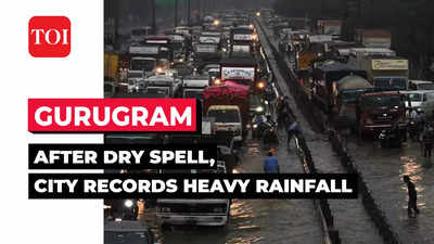Gurugram all set to record wettest September in 10 years, witnesses surplus of 188% rainfall