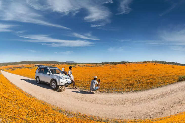 Experience the Namaqualand Flower Bloom