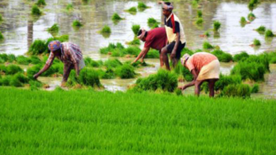 PayFarmer campaign launched in Mandya