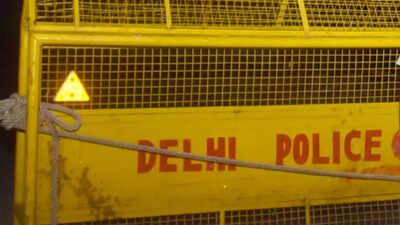 Delhi cops probe brawl in pub after CCTV footage surfaces