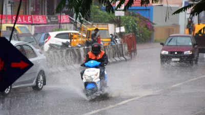 Haryana may overcome rain deficit