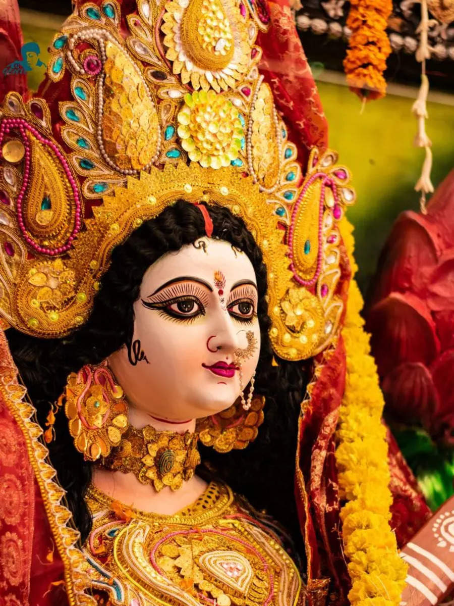 Navratri: Intriguing books on Goddess Durga | Times of India