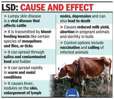 Eight cattle in Goa positive for lumpy skin disease