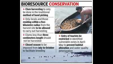 State govt notifies guidelines to stop over-exploitation of clams, shellfish