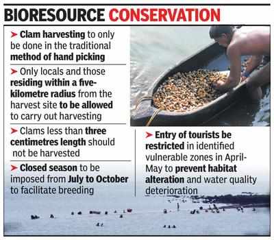 State govt notifies guidelines to stop over-exploitation of clams, shellfish