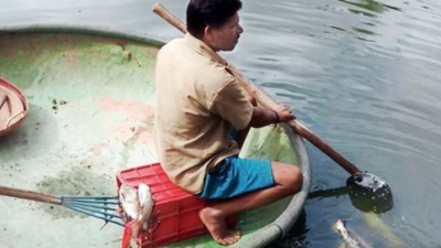 Bengaluru: After fishkill in lake, locals blame sewage