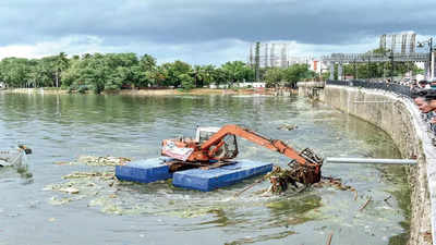 Hyderabad: Hussainsagar toxicity still high after debris removal