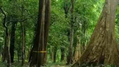 Faridabad: Rush to build banquet halls on 'forest' land
