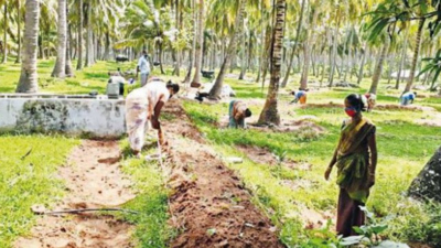 Karnataka: Coconut coop unit plans Rs 4.5 crore expansion, seeks funds