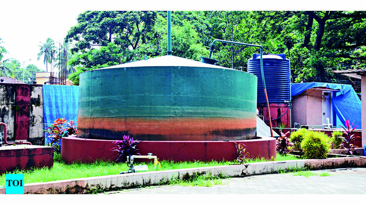 Haibowal Dairy: Haibowal Dairy Complex To Get Compressed Biogas Plant |  Ludhiana News - Times of India