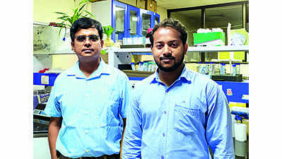 IIT-G finds way to treat cancerous cells without harming healthy ones