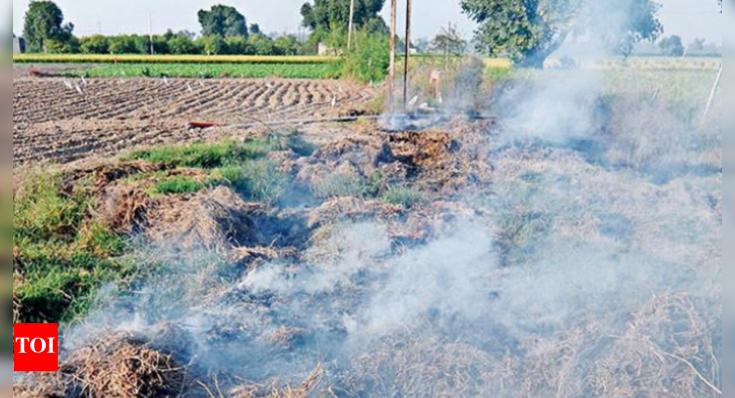 Farmers State To See More Pusa Use To Curb Stubble Burning