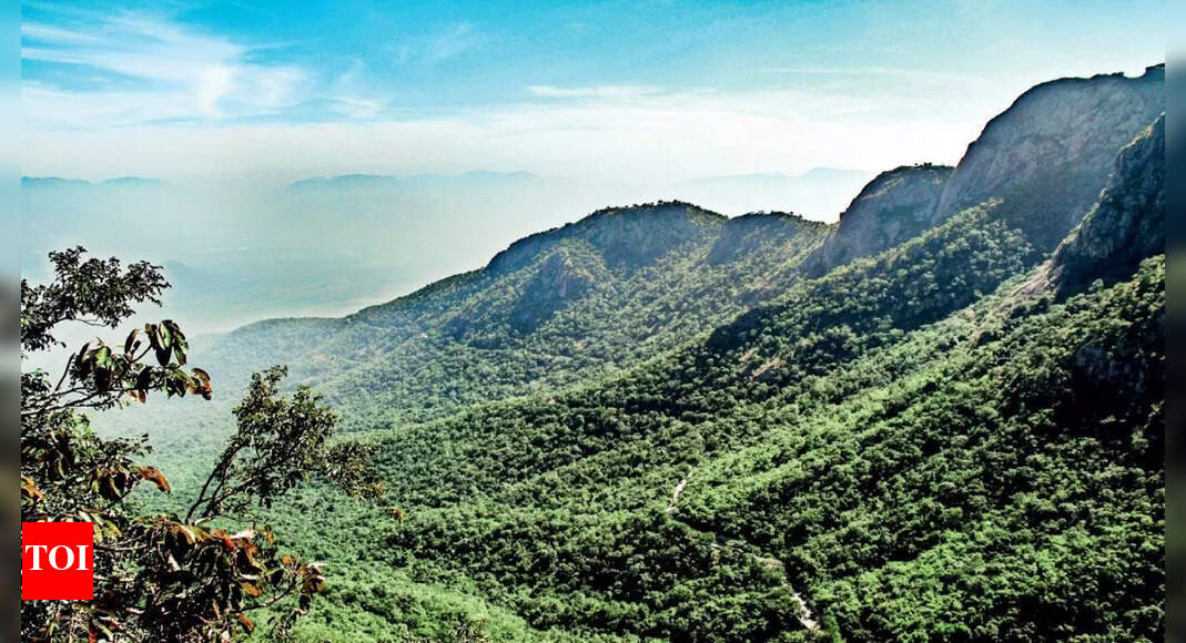 Nine New Forest Divisions To Enhance State’s Green Cover Amaravati