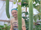 This world's longest cucumber is 3 feet!