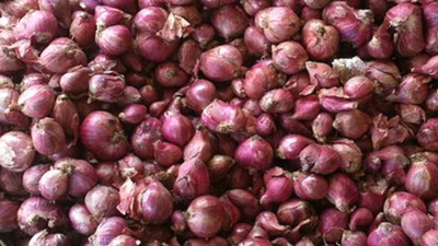 Shallot price will be profitable for farmers in October: TNAU experts