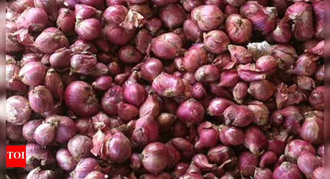 Shallot price will be profitable for farmers in October TNAU experts