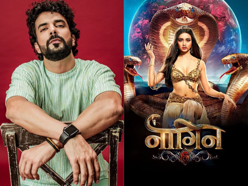 Naagin 6 to feature yet another death sequence; netizens predict Manit Joura's exit from the show