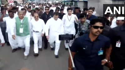 Rahul Gandhi’s Bharat Jodo Yatra to return to Tamil Nadu for a day