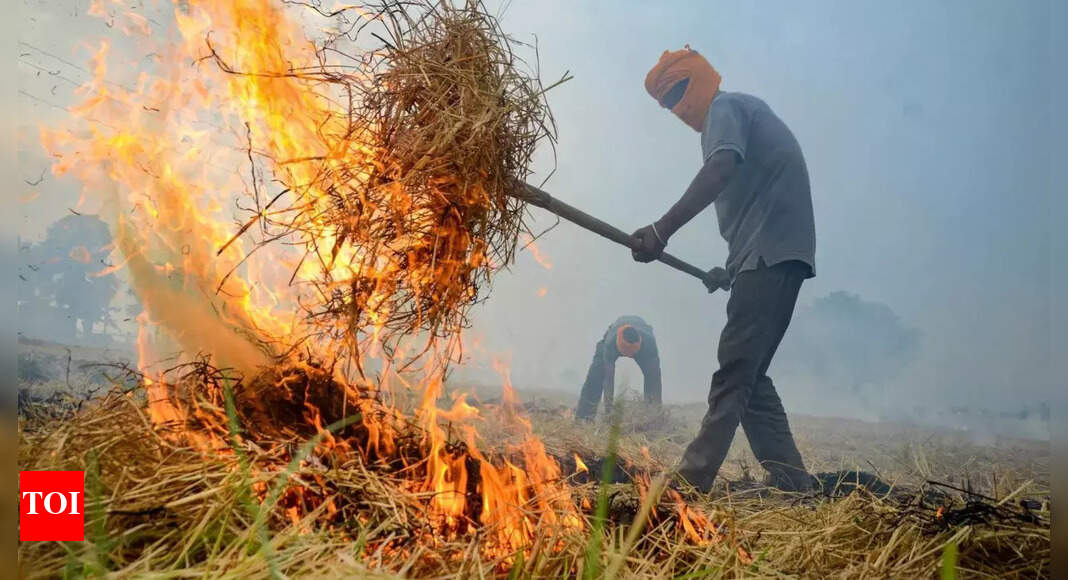 Stubble-burning season begins in north