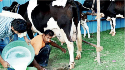 Andhra Pradesh: ‘Cattle doctor’ concept to be introduced soon