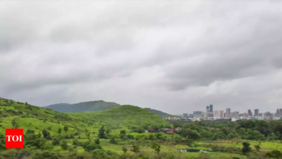 Navi Mumbai: Kharghar hill project faces opposition from greens