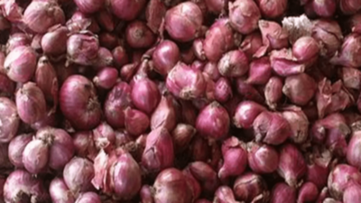 Shallot will turn profitable for farmers in October, says Tamil Nadu Agricultural University
