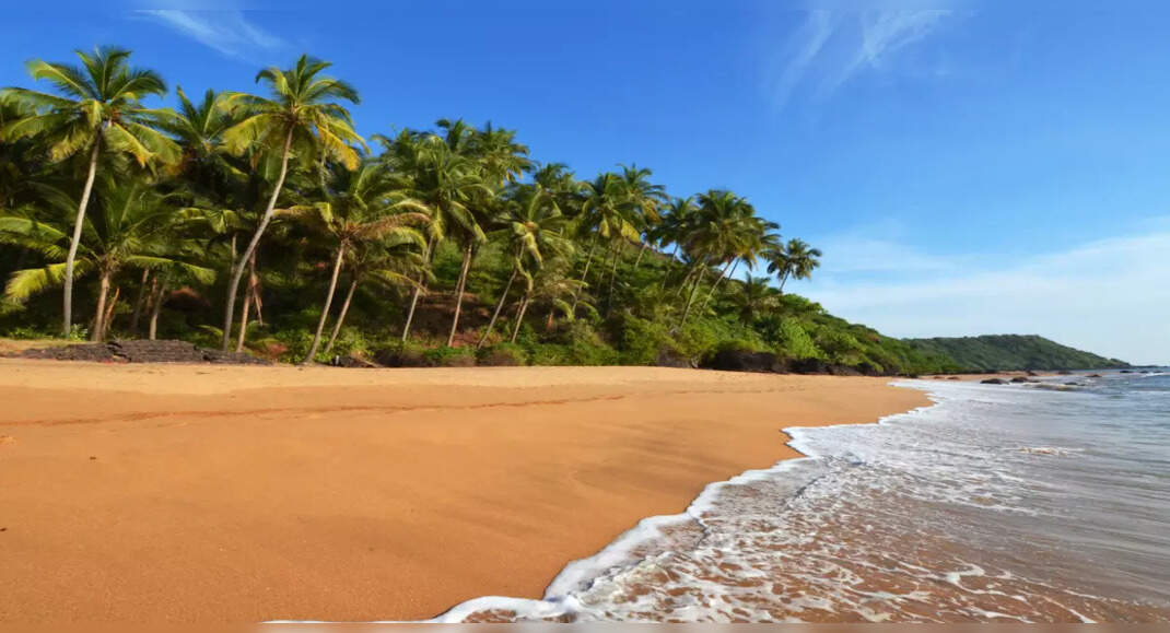 beaches-in-india-where-you-can-go-swimming-times-of-india-travel