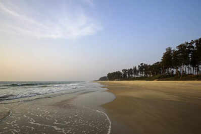 Beaches in India where you can go swimming | Times of India Travel