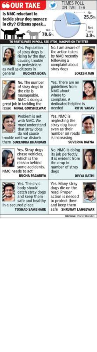 Brutalities against dogs continue to rise in city
