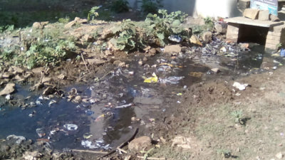 Patna: Poor drainage, roads among main issues in Phulwari area