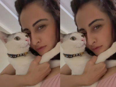 Niyati Fatnani shared a picture with her cat