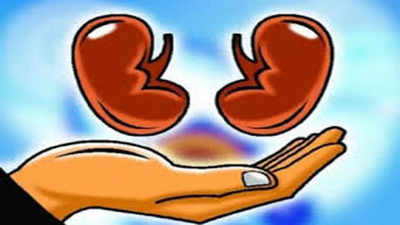 Organs of brain dead man give new lease of life for seven patients in TN