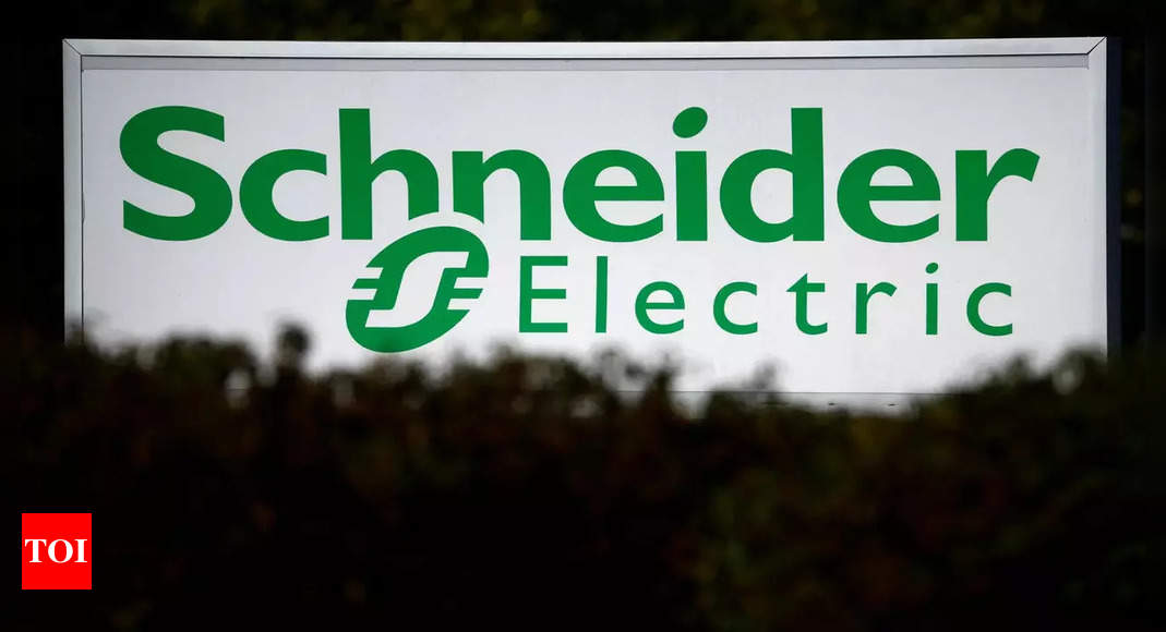 Anjana Chiramel (She/Her) - Schneider Electric | LinkedIn