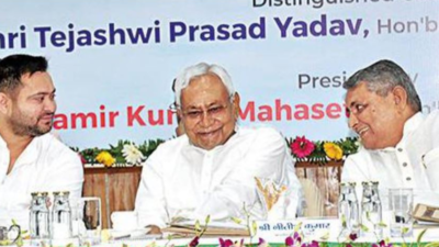 Bihar CM Nitish Kumar allays investors' fears on law and order