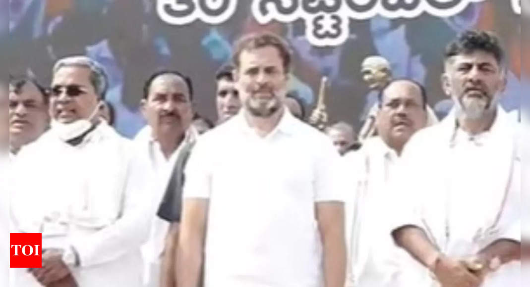 Yatra: Rahul Gandhi's Bharat Jodo Yatra Enters Poll-bound Karnataka For ...