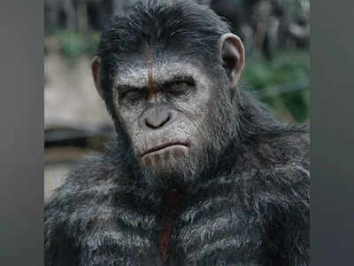 'Planet of the Apes' new film first look, title unveiled