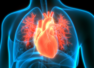 COVID linked to long-term heart diseases